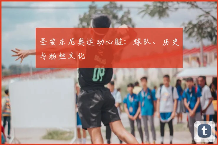 圣安东尼奥运动心脏:球队、历史与粉丝文化
