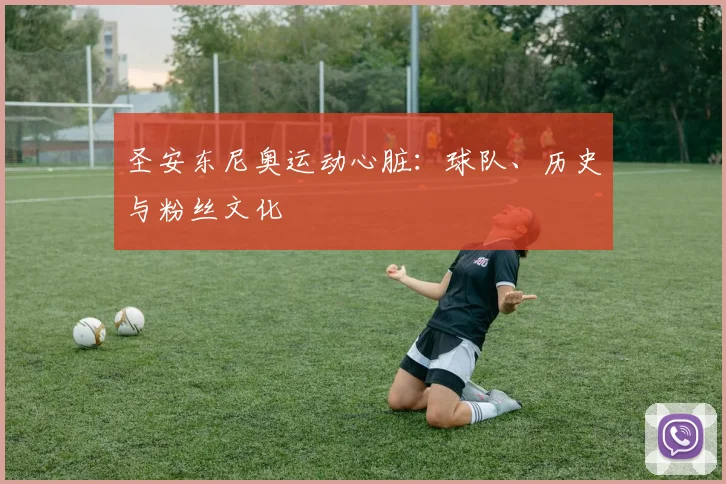 圣安东尼奥运动心脏：球队、历史与粉丝文化